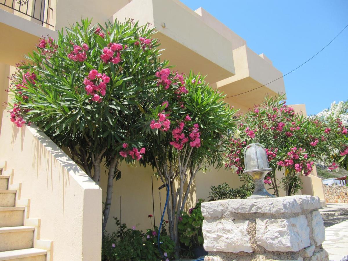 Eugenia Travasarou Sea View Appartments Diakofti Екстер'єр фото